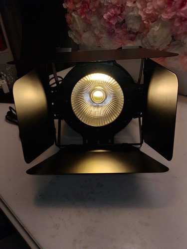 100w cob par light - 100w,